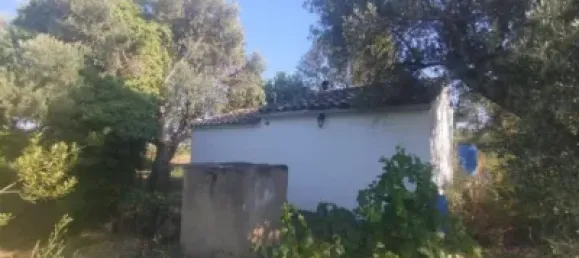 8018m² Land in Huesca, Spain No. 191543 12