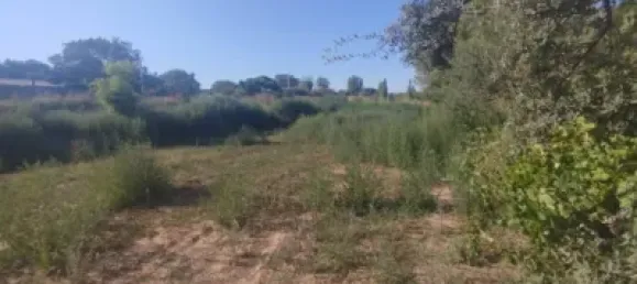 8018m² Land in Huesca, Spain No. 191543 7