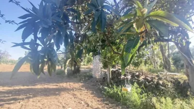 8018m² Land in Huesca, Spain No. 191543