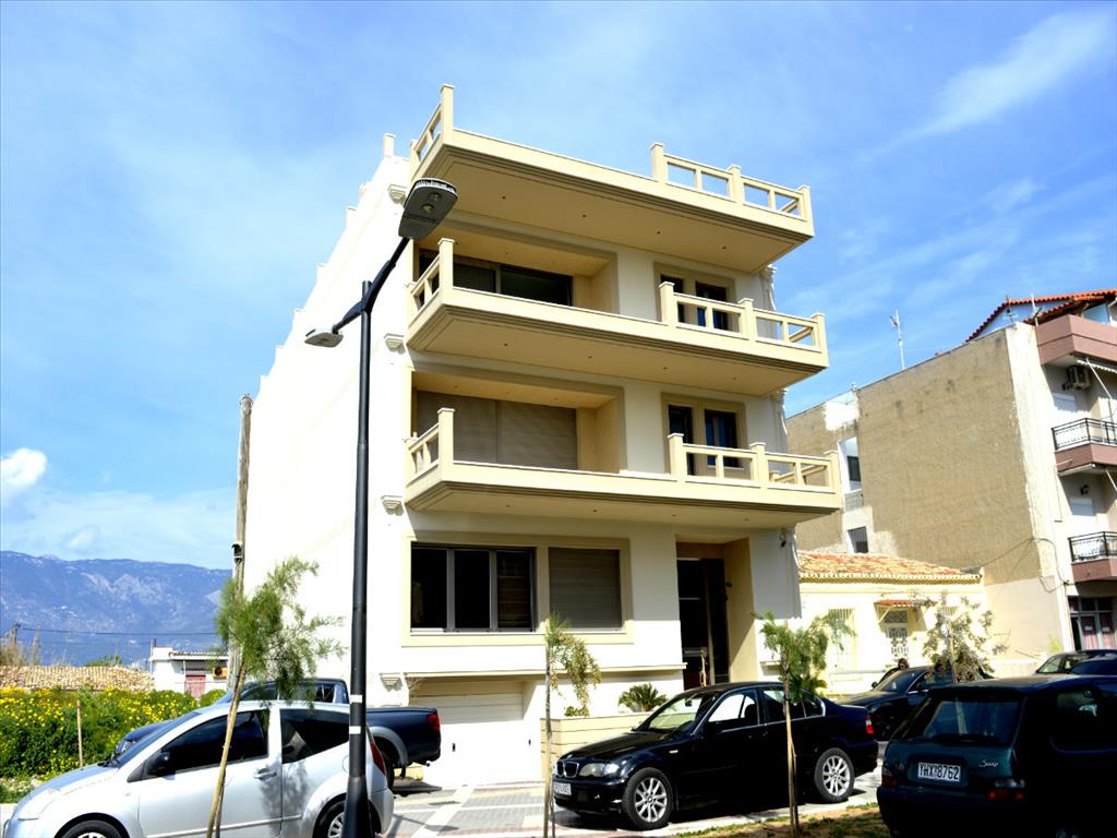 1000m² Property in Corinth, Greece No. 6370