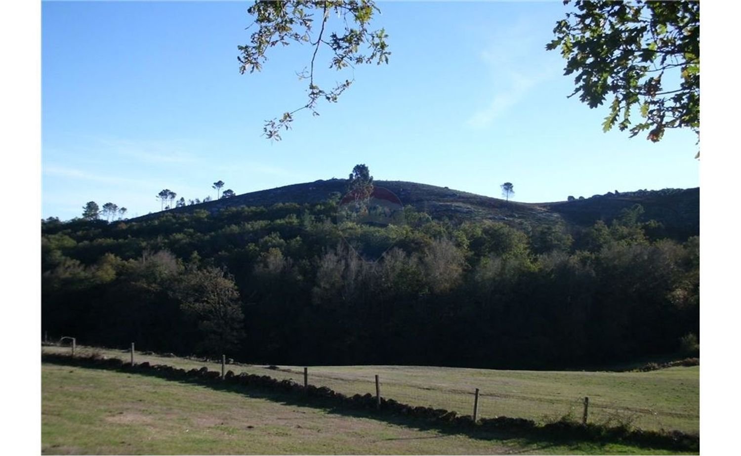 13200m² Land in Fafe, Portugal No. 33438