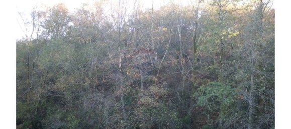 13200m² Land in Fafe, Portugal No. 33438 2