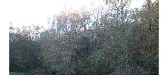 13200m² Land in Fafe, Portugal No. 33438 3