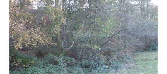 13200m² Land in Fafe, Portugal No. 33438 4