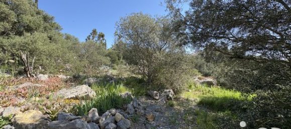 Grundstück in La Palme, France 729m², Nr. 314211 4