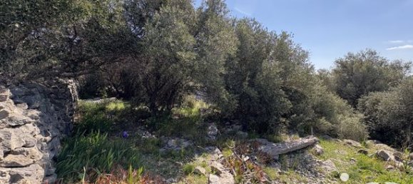 Grundstück in La Palme, France 729m², Nr. 314211 3