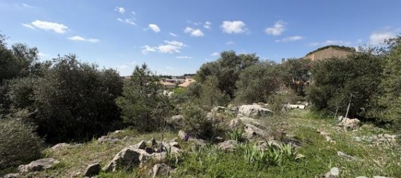 Grundstück in La Palme, France 729m², Nr. 314211 2