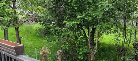 2 غرف نوم منزل في Siegen-Wittgenstein, Germany رقم 236285 15