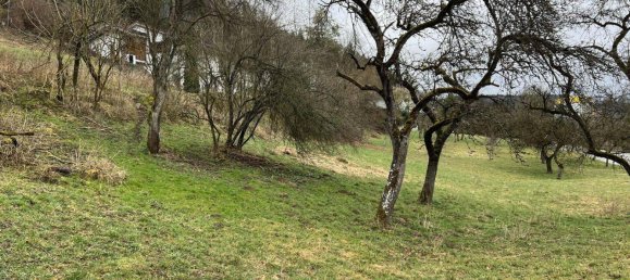 Terreno en Waldshut, Germany No. 1828 3