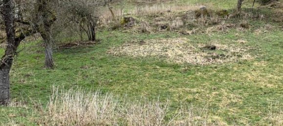 Terreno en Waldshut, Germany No. 1828 2