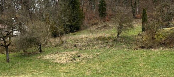 Terreno en Waldshut, Germany No. 1828 4