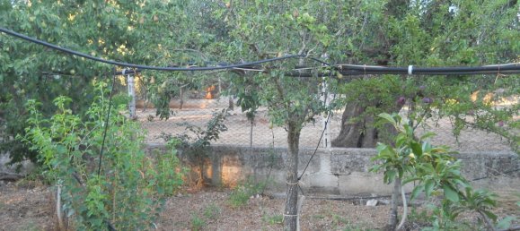 6-salle Maison à Francavilla Fontana, Italy No. 251074 31