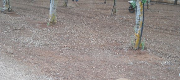 6-salle Maison à Francavilla Fontana, Italy No. 251074 26