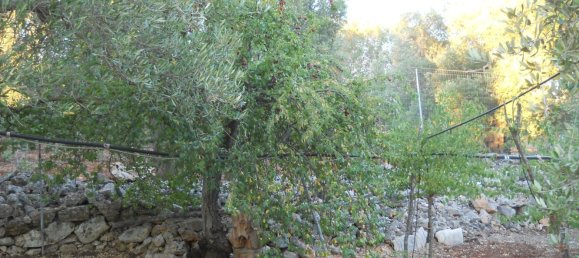 6-salle Maison à Francavilla Fontana, Italy No. 251074 28