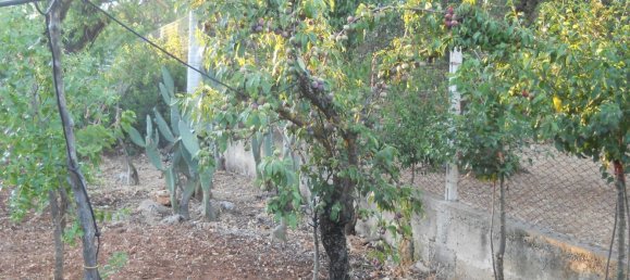 6-salle Maison à Francavilla Fontana, Italy No. 251074 30