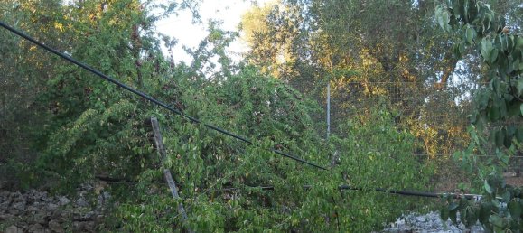 6-salle Maison à Francavilla Fontana, Italy No. 251074 29