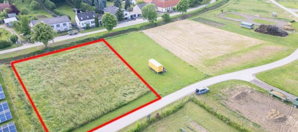  Land in Mistelbach, Austria No. 215840 5