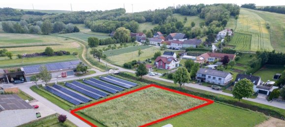  Land in Mistelbach, Austria No. 215840 2