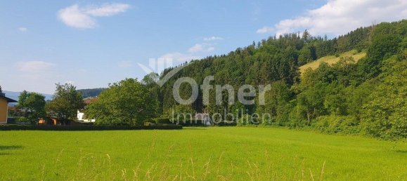 Land in Barnbach, Austria No. 128105 3