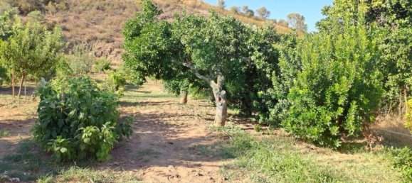 1580m² Land in Azinhal, Portugal No. 52055 41