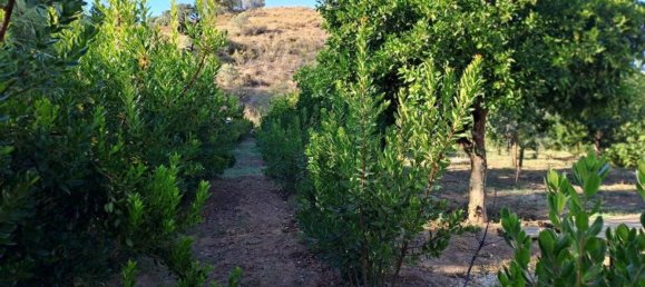 1580m² Land in Azinhal, Portugal No. 52055 31