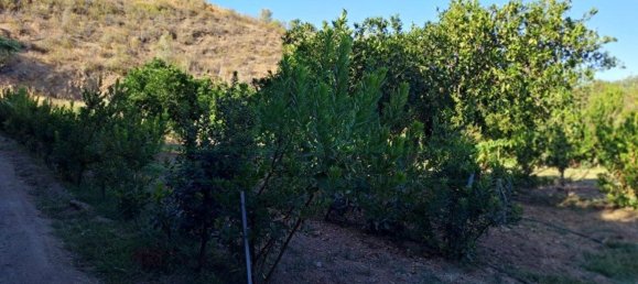 1580m² Land in Azinhal, Portugal No. 52055 27