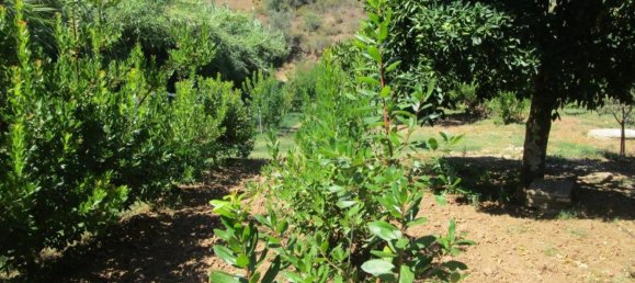 1580m² Land in Azinhal, Portugal No. 52055 6