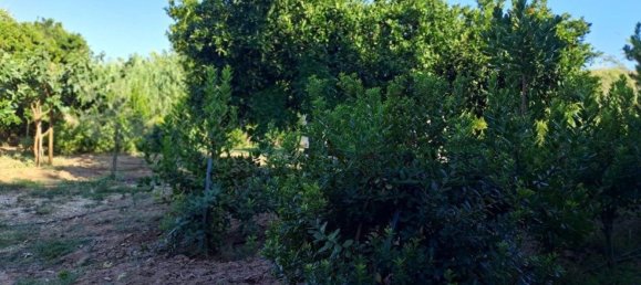 1580m² Land in Azinhal, Portugal No. 52055 25