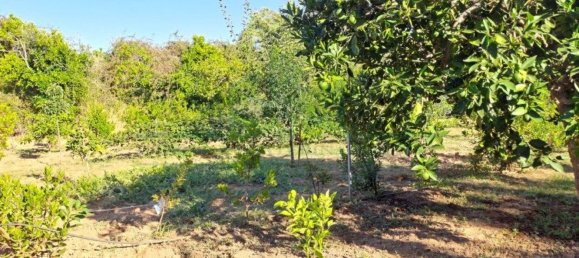 1580m² Land in Azinhal, Portugal No. 52055 10