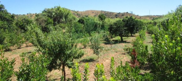 1580m² Land in Azinhal, Portugal No. 52055 8