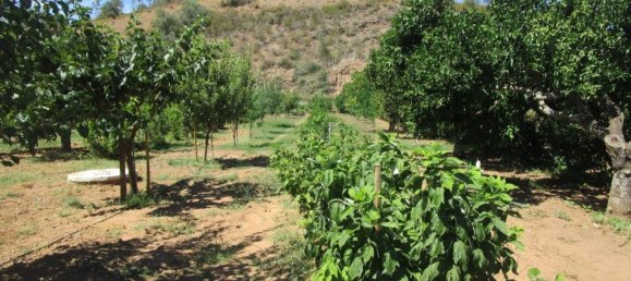 1580m² Land in Azinhal, Portugal No. 52055 4