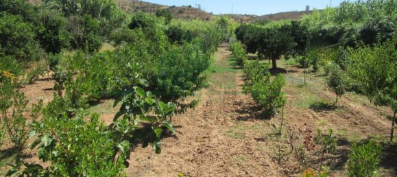 1580m² Land in Azinhal, Portugal No. 52055 9