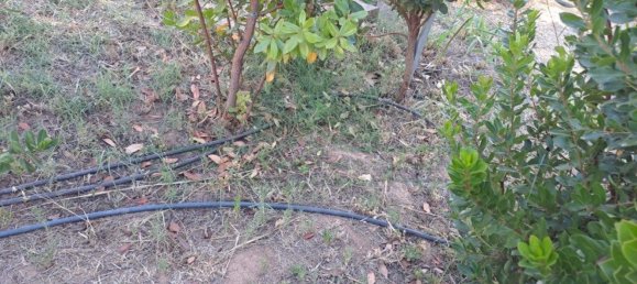 1580m² Land in Azinhal, Portugal No. 52055 35