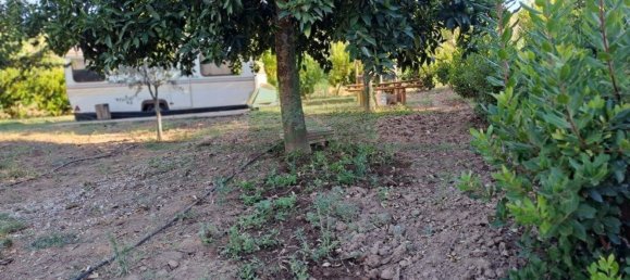 1580m² Land in Azinhal, Portugal No. 52055 39