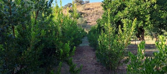 1580m² Land in Azinhal, Portugal No. 52055 34