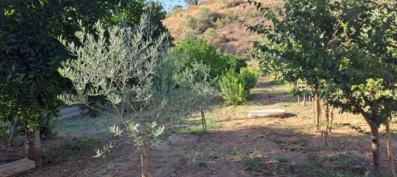 1580m² Land in Azinhal, Portugal No. 52055 43