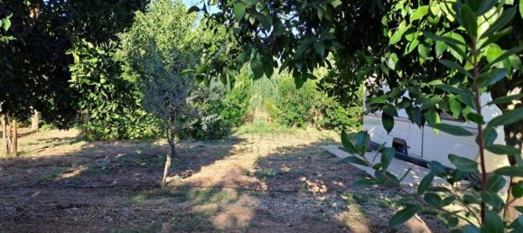 1580m² Land in Azinhal, Portugal No. 52055 29