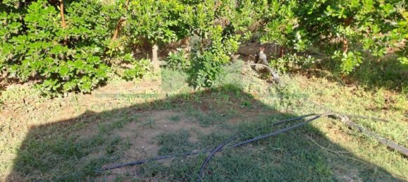 1580m² Land in Azinhal, Portugal No. 52055 46