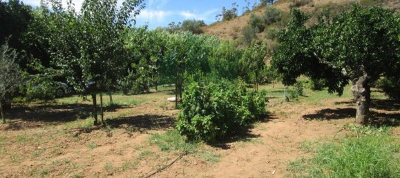 1580m² Land in Azinhal, Portugal No. 52055 3