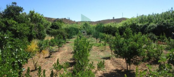 1580m² Land in Azinhal, Portugal No. 52055 2