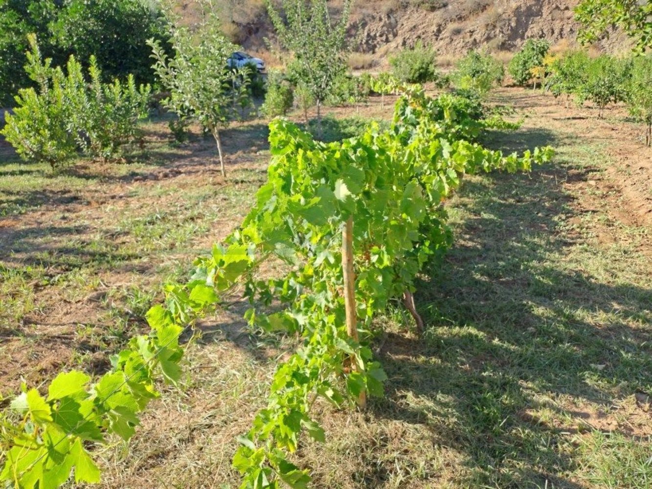 1580m² Land in Azinhal, Portugal No. 52055