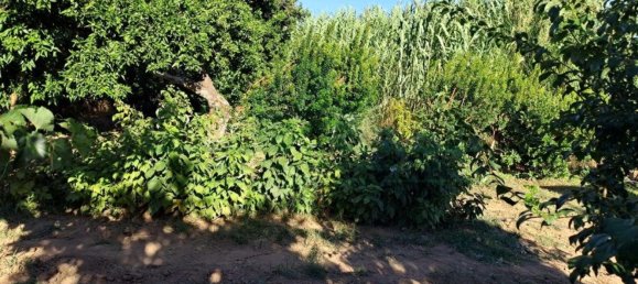 1580m² Land in Azinhal, Portugal No. 52055 37