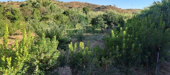 1580m² Land in Azinhal, Portugal No. 52055 24