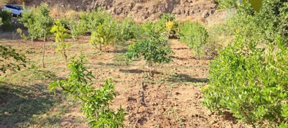 1580m² Land in Azinhal, Portugal No. 52055 23