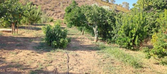 1580m² Land in Azinhal, Portugal No. 52055 45