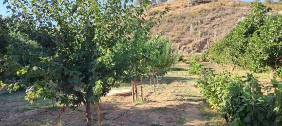 1580m² Land in Azinhal, Portugal No. 52055 44