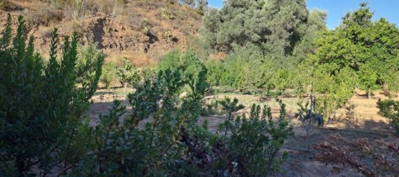 1580m² Land in Azinhal, Portugal No. 52055 26