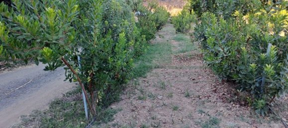 1580m² Land in Azinhal, Portugal No. 52055 40