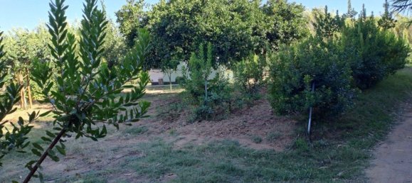 1580m² Land in Azinhal, Portugal No. 52055 50