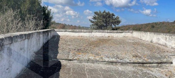 3 Schlafzimmer Villa in Monopoli, Italy, Nr. 17137 25